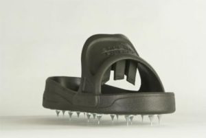 SHOE IN Spiked Shoes